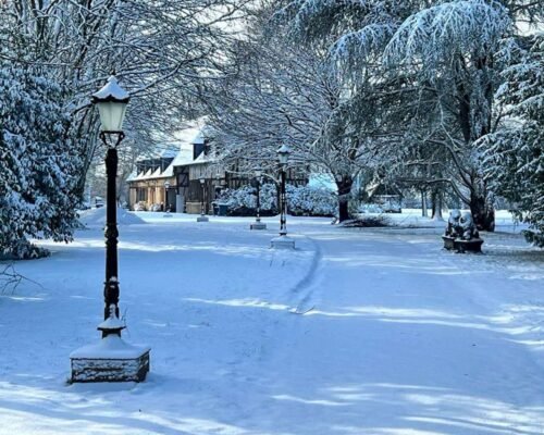 7a2c5df2-29a3-4dbd-a8d0-e0b469667b54-min