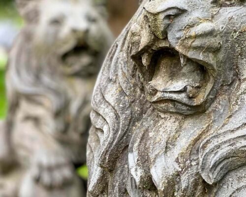 Photo 22.07.24 12 10 02-min