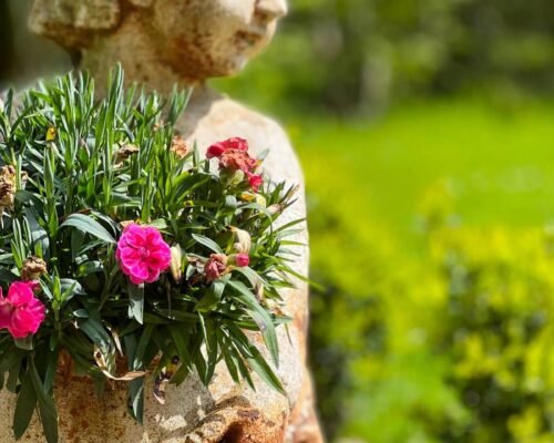 Photo 22.07.24 12 10 04-min