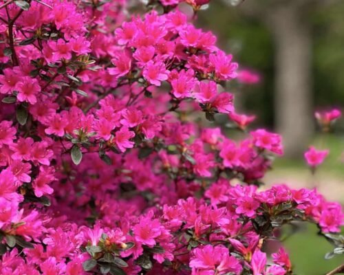 fad59ecd-d981-458e-b69f-a7e87eb12b95-min